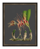 Beautiful Botanical on Black VI