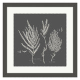 Salicornia Strobilacea Granite I