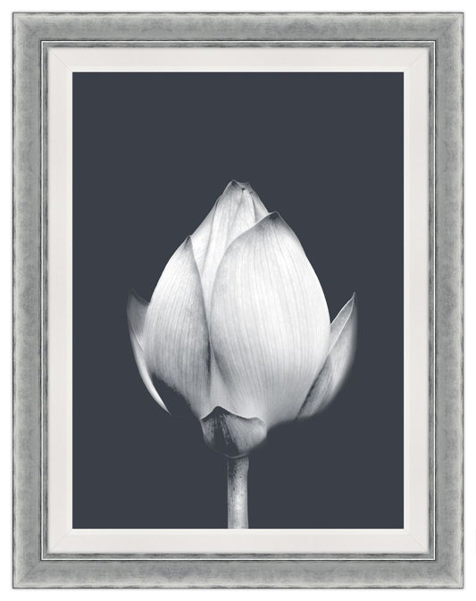 La Grande Dame Blanc I