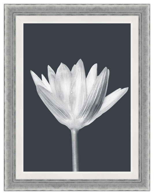 La Grande Dame Blanc II