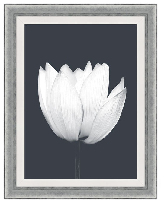 La Grande Dame Blanc III