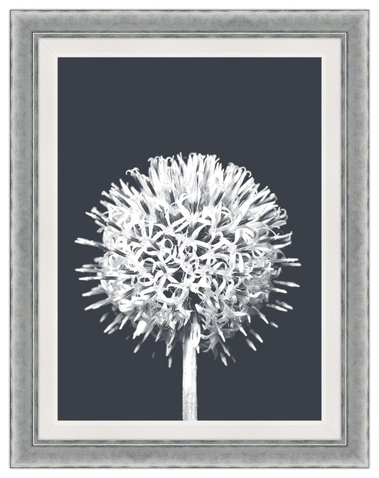 La Grande Dame Blanc IV