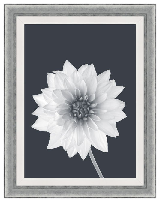 La Grande Dame Blanc V