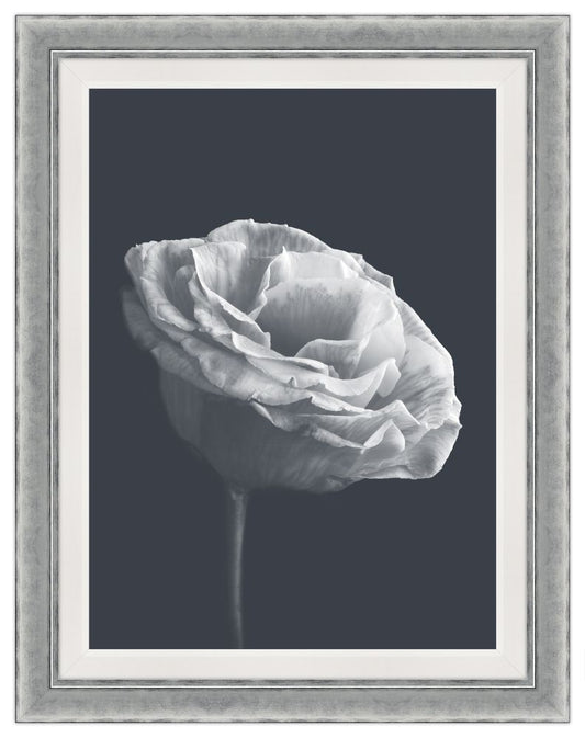 La Grande Dame Blanc VI