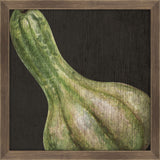 Harvest Gourd