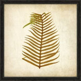 Simple Fern IV