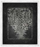 Blackboard Floral Silhouettes I