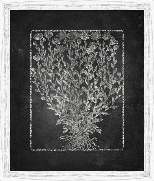 Blackboard Floral Silhouettes I