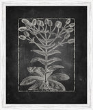 Blackboard Floral Silhouettes III