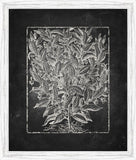 Blackboard Floral Silhouettes IV