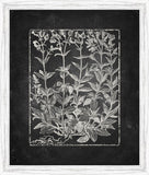 Blackboard Floral Silhouettes V