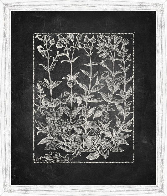 Blackboard Floral Silhouettes V