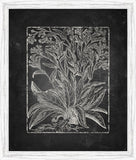 Blackboard Floral Silhouettes VI
