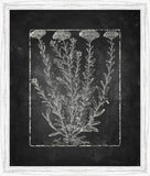 Blackboard Floral Silhouettes VII