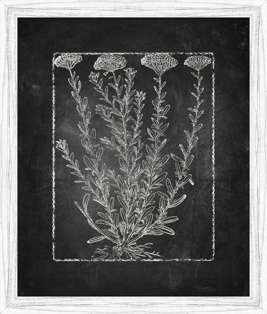 Blackboard Floral Silhouettes VII