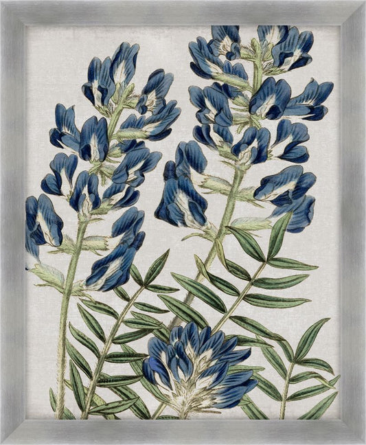 Blues In My Heart II