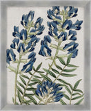 Blues In My Heart II