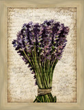 Lavender Postcard