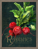 Seed Packet Radishes