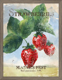 Seed Packet Strawberries