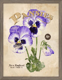 Seed Packet Pansies