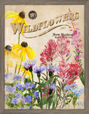 Seed Packet Wildflowers