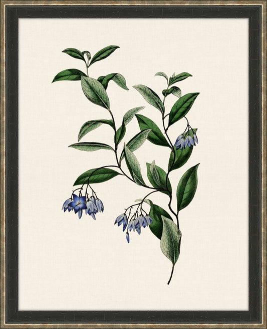 Van Geel Small Flowers I