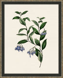 Van Geel Small Flowers I