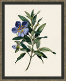 Van Geel Small Flowers II