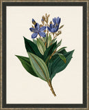 Van Geel Small Flowers III