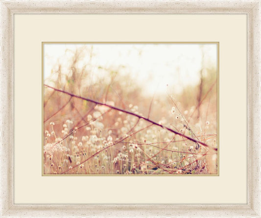Blush Meadow II