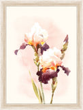 Watercolor Iris II