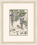 Verneuil Flowers, 1896 III