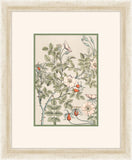 Verneuil Flowers, 1896 V