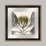 Arctium I in Golden Lime