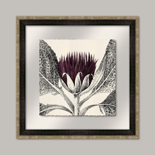 Arctium I in Eggplant