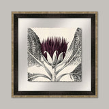 Arctium I in Eggplant