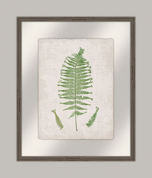 Bradbury Polypodium III