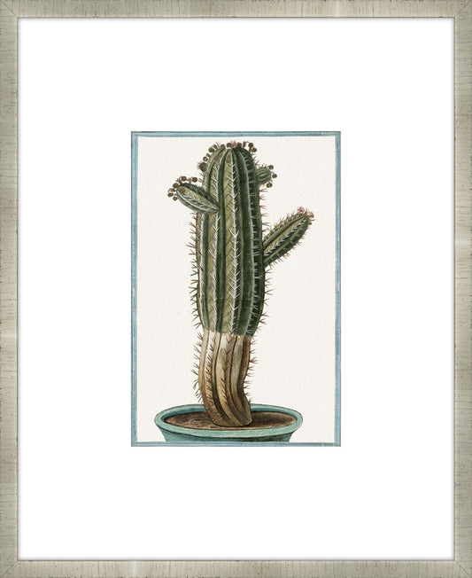 Martelli Cactus I