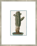 Martelli Cactus I