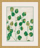 Emerald Eucalyptus II