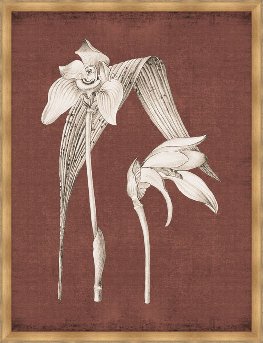 Dramatic Flowers Caliente III Grande