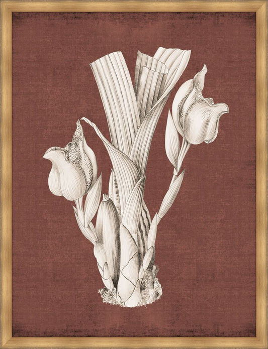 Dramatic Flowers Caliente IV Grande