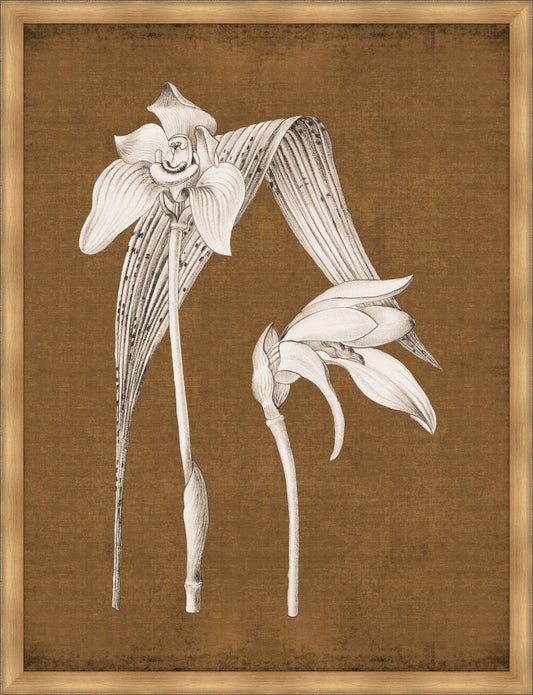 Dramatic Flowers Burnt Sienna III Grande