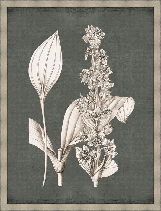 Dramatic Flowers in Fern Green I Grande