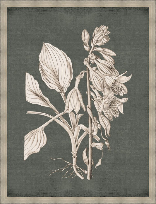 Dramatic Flowers in Fern Green II Grande