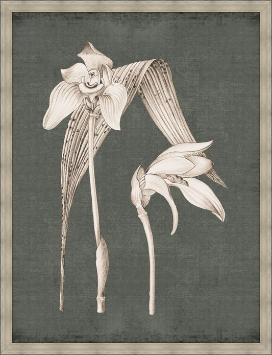 Dramatic Flowers in Fern Green III Grande