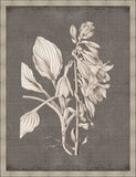 Dramatic Flowers in Soft Gray II Grande