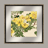 Eastern Floral Spectacular III