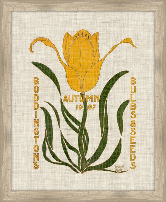 Flower and Seed Packet I